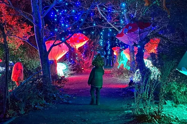 Santa Ynez Holiday Lights